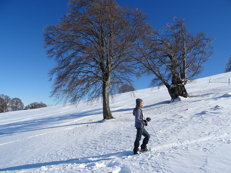 prime escursioni sulla neve....autunno  2019